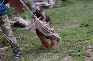 IMG_2271