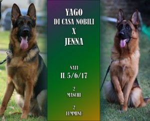 JENNA X JAGO